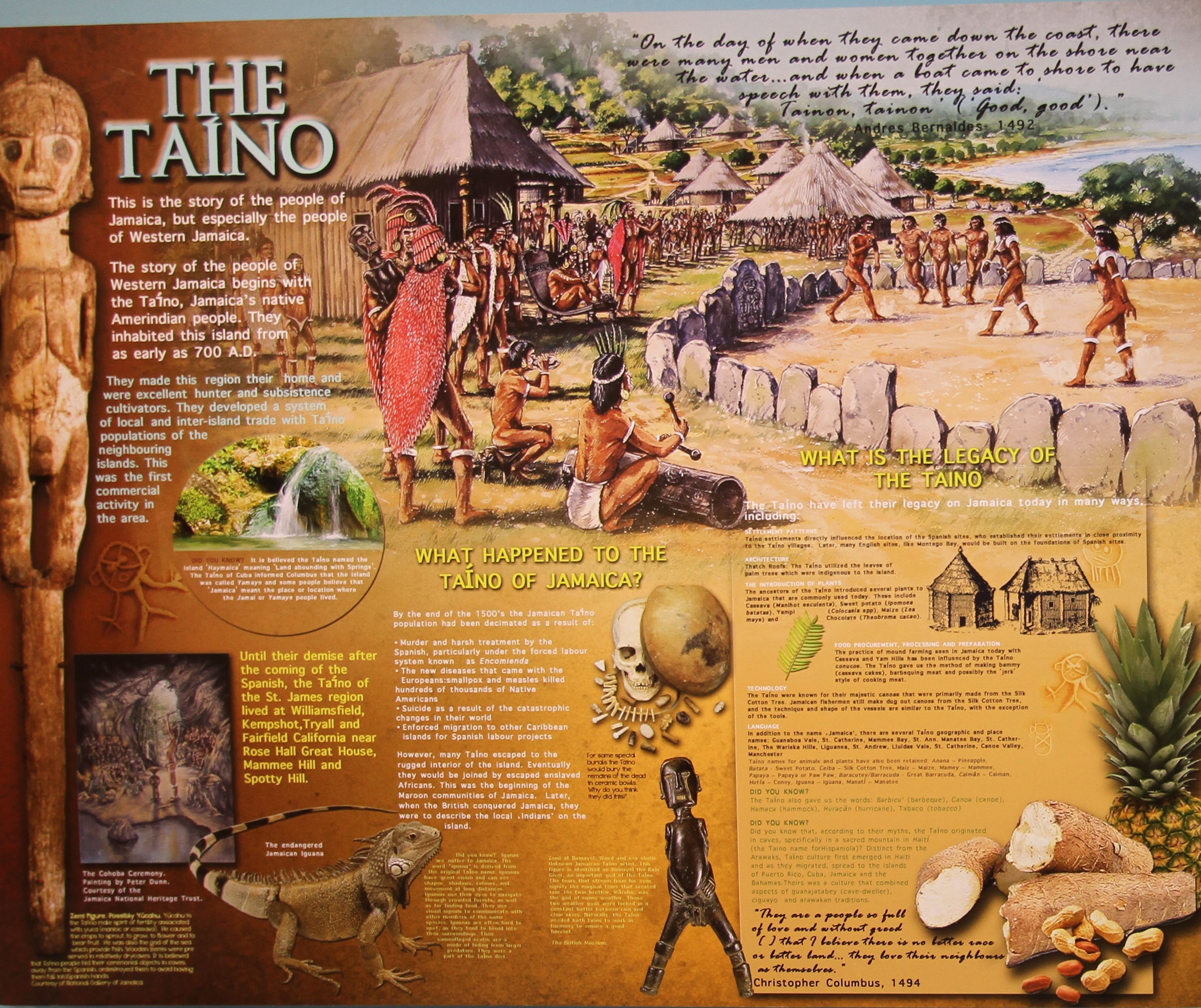 😍 What did the tainos look like. 'I am not extinct'. 2019-01-15